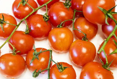çeri domatesler