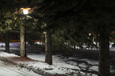 Kış Meydanı