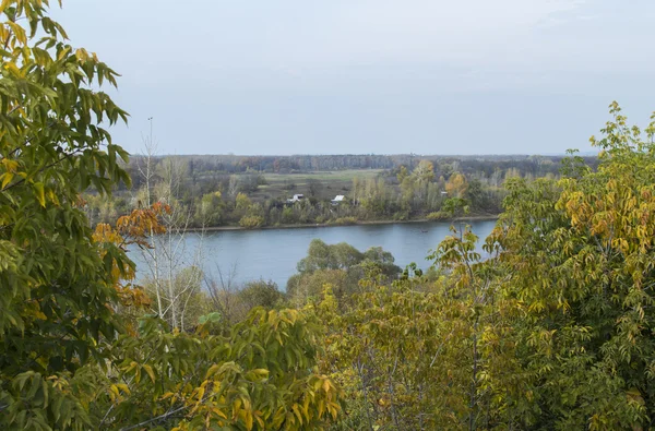 Fluss, Freifläche, Herbstholz — Stockfoto