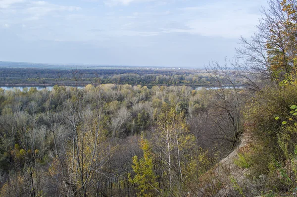 Rivière, espace ouvert, bois d'automne — Photo