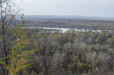 Nehir, mesafe ve sonbahar ahşap açık alan