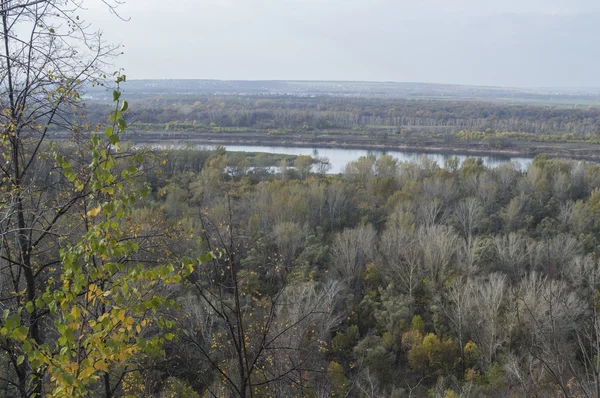 Rivière, espace ouvert au loin et bois d'automne — Photo