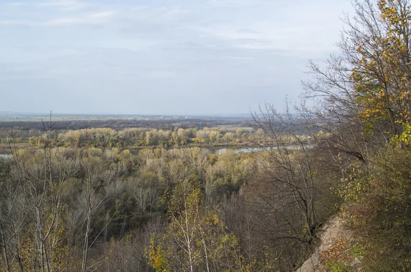 Floden, öppen plats i avstånd och hösten trä — Stockfoto