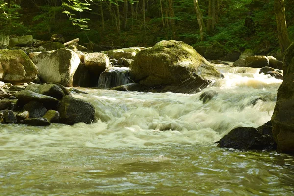 Small fast montain river — Stock Photo, Image