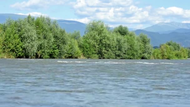 Belo fluxo fluvial — Vídeo de Stock