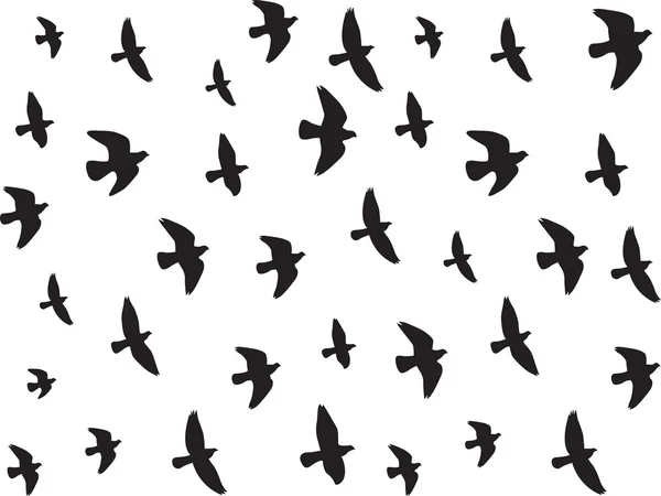 Aves voladoras aisladas en blanco — Vector de stock