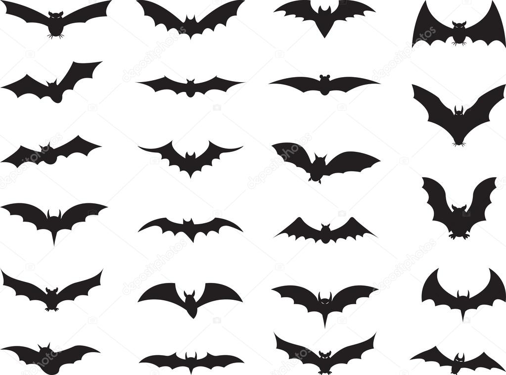 Bats collection