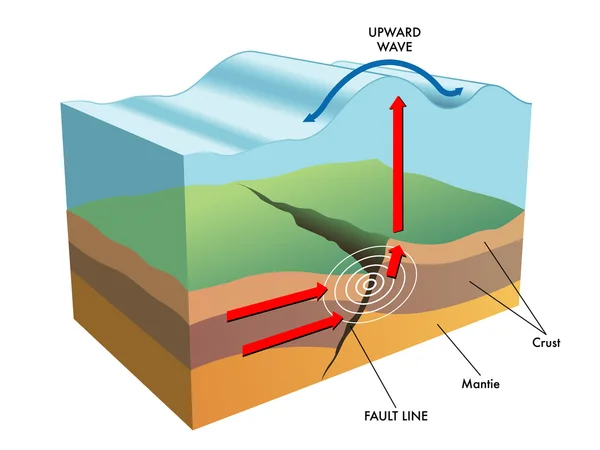 원인과 지진 해 일의 효과의 과학적인 삽화 — 스톡 벡터