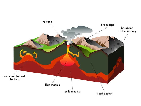 Hora s kráteru sopky — Stockový vektor