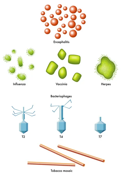 Icônes de virus vectoriels . — Image vectorielle