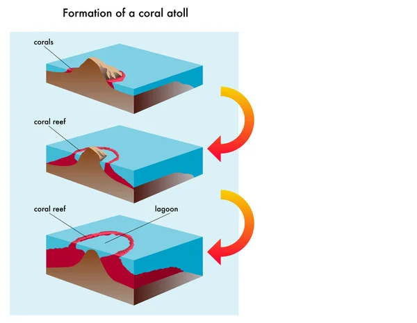 Коралові атол формування . — стоковий вектор