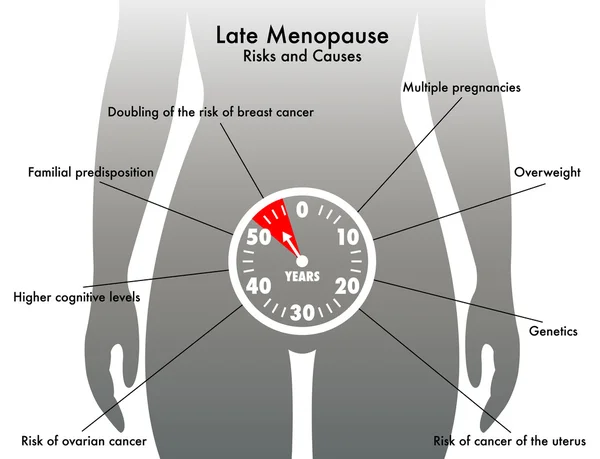 Menopausa tardiva — Vettoriale Stock