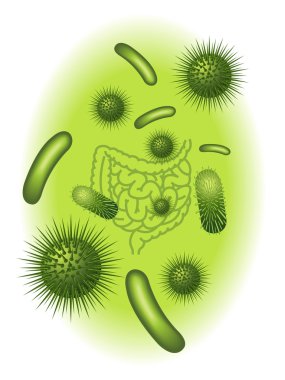 Common bacteria infecting human clipart
