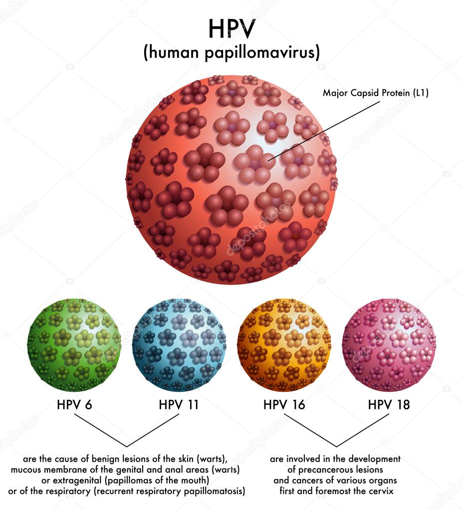 papilloma virus hiv paraziți de număr