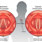 Voyaga etgan gozal xonim porno