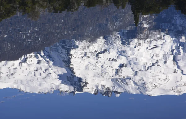 Reflections of Patagonia
