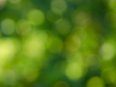 Bokeh açık yeşil renkli