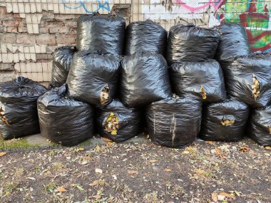 Çöp dolu bir sürü siyah plastik torba. Sonbahar yaprağı temizliği. Kopyalama alanı - ekoloji, çevre, kirlilik, doğa, temizlik, atık geri dönüşümü kavramı