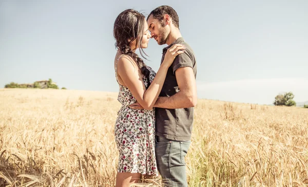 Молодая пара целуется на пшеничном поле — стоковое фото