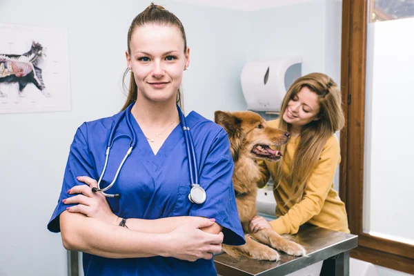 Veterinario con perro y cliente — Foto de Stock