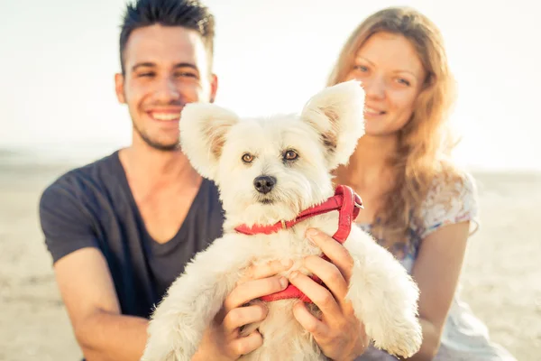 Casal sorridente com retrato de cachorro na praia — Fotografia de Stock