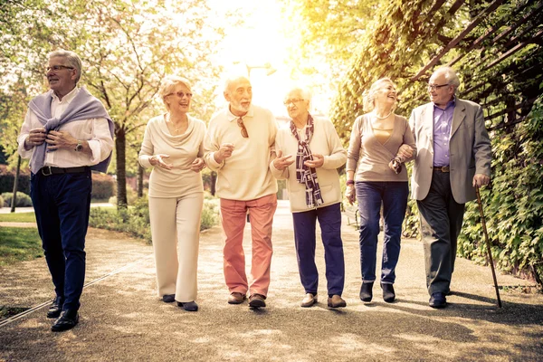 Grupo de idosos caminhando ao ar livre — Fotografia de Stock