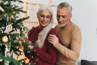 Mutlu son sınıf çifti evlerinin içinde Noel ağacını yapıyor ve kutlamaya hazırlanıyor.