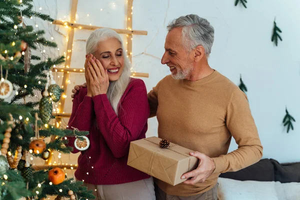 Feliz Pareja Ancianos Haciendo Árbol Navidad Dentro Casa Preparándose Para — Foto de Stock