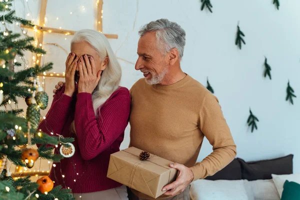 Feliz Pareja Ancianos Haciendo Árbol Navidad Dentro Casa Preparándose Para — Foto de Stock