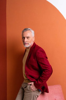 Yakışıklı son sınıf erkek portresi, arka planda stüdyo fotoğrafı, yaşlı bir adam, yarı vücut fotoğrafı.