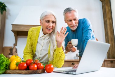 Güzel son sınıf aşıkları - Yaşlılar evde eğlenirken resim çekiyorlar - ilişki, yaşlılar ve yaşam tarzı kavramları