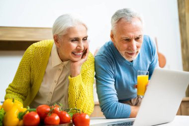 Güzel son sınıf aşıkları - Yaşlılar evde eğlenirken resim çekiyorlar - ilişki, yaşlılar ve yaşam tarzı kavramları