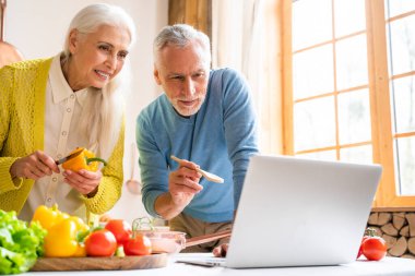 Güzel son sınıf aşıkları - Yaşlılar evde eğlenirken resim çekiyorlar - ilişki, yaşlılar ve yaşam tarzı kavramları