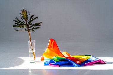 LGBT gökkuşağı bayrağı, eşcinsellere, lezbiyenlere, transseksüellere ve homofobiklere kavramsal destek