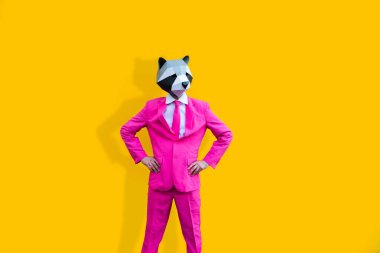 Renkli arka planda komik düşük polyester maskeli mutlu bir adam reklamcılık için yaratıcı kavramsal bir fikir düşük poligami kağıt maskeli bir yetişkin komik pozlar veriyor.