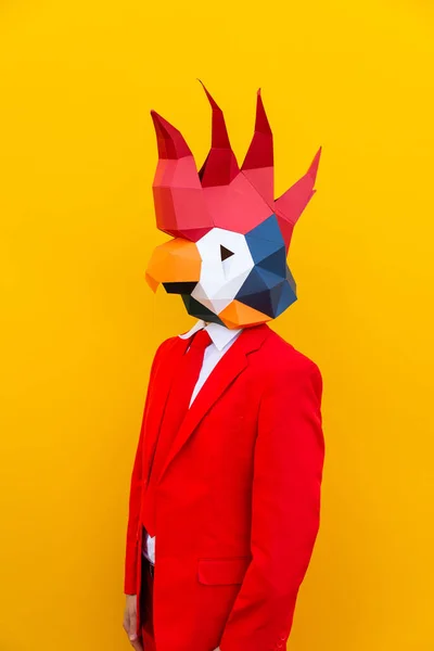 Cool Man Wearing Origami Mask Stylish Colored Clothes Creative Concept — Stock Photo, Image