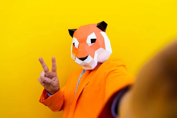 Cool Man Bär Origami Mask Med Snygga Färgade Kläder Kreativt — Stockfoto