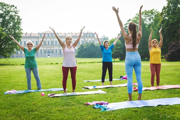 Multi Etnische Groep Van Senioren Training Het Park Met Fitness — Stockfoto