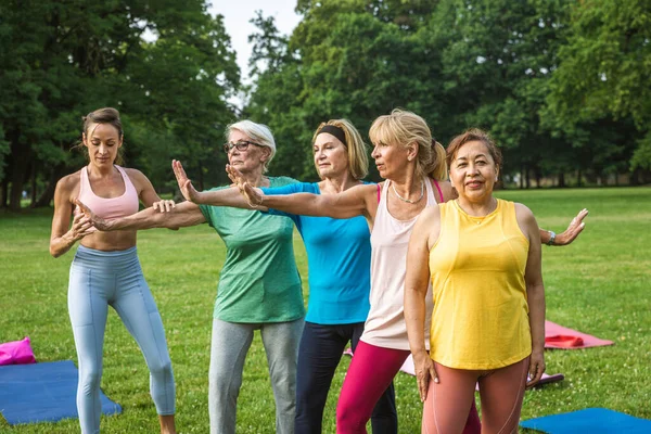 Multietnisk Grupp Äldre Kvinnor Utbildning Parken Med Fitness Instruktör Aktiva — Stockfoto