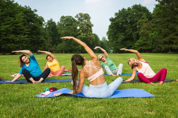 Multietnisk Grupp Äldre Kvinnor Utbildning Parken Med Fitness Instruktör Aktiva — Stockfoto