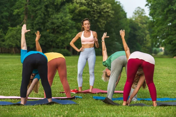 Időskorú Nők Többnemzetiségű Csoportja Parkban Fitneszoktatóval Aktív Idősek Akik Természetben — Stock Fotó