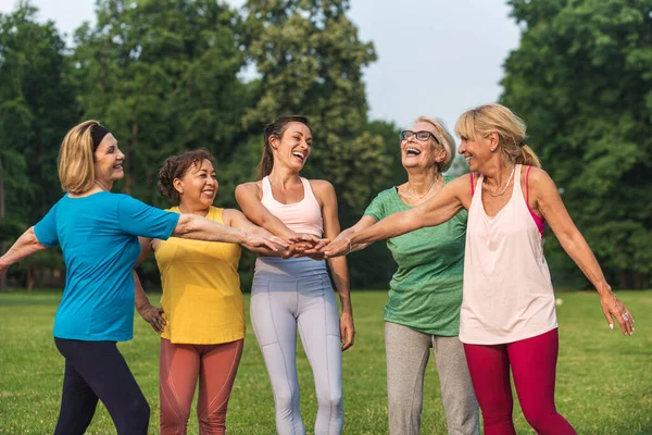 Multietnisk Grupp Äldre Kvinnor Utbildning Parken Med Fitness Instruktör Aktiva — Stockfoto