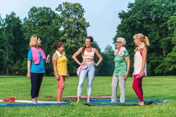 Multi Etnische Groep Van Senioren Training Het Park Met Fitness — Stockfoto