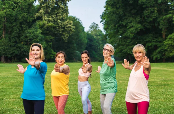 Grupo Multiétnico Mujeres Mayores Entrenando Parque Con Instructor Fitness Personas —  Fotos de Stock