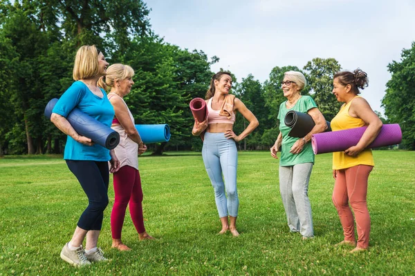 Grupo Multiétnico Mujeres Mayores Entrenando Parque Con Instructor Fitness Personas — Foto de Stock