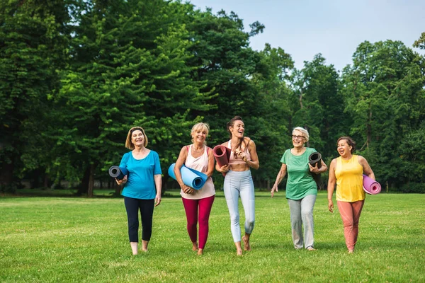 Multi Etnische Groep Van Senioren Training Het Park Met Fitness — Stockfoto