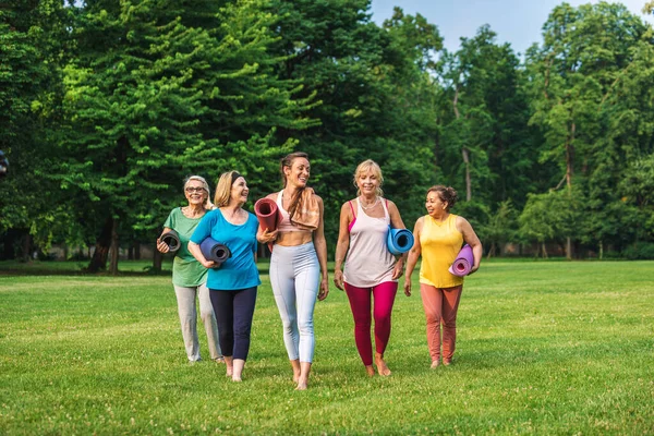 Multi Etnische Groep Van Senioren Training Het Park Met Fitness — Stockfoto