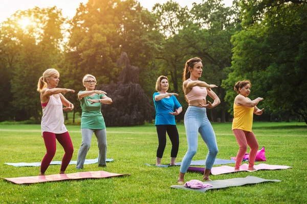 Multi Etnische Groep Van Senioren Training Het Park Met Fitness — Stockfoto