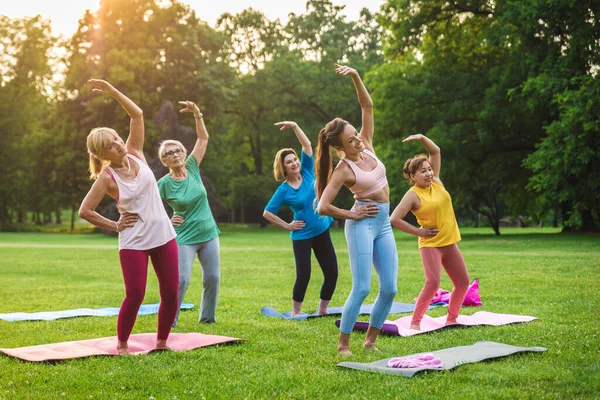 Multi Etnische Groep Van Senioren Training Het Park Met Fitness — Stockfoto