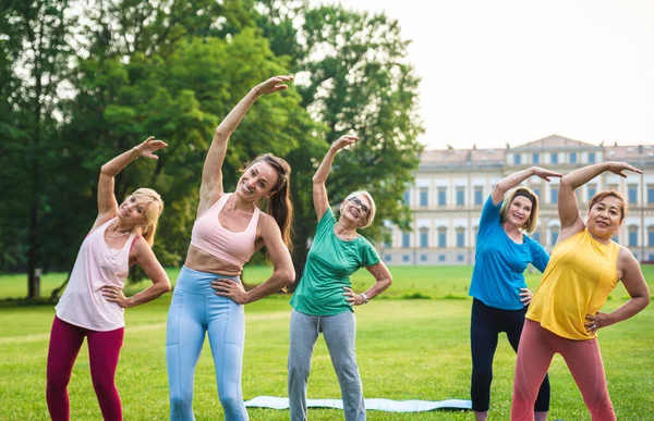 Multi Etnische Groep Van Senioren Training Het Park Met Fitness — Stockfoto